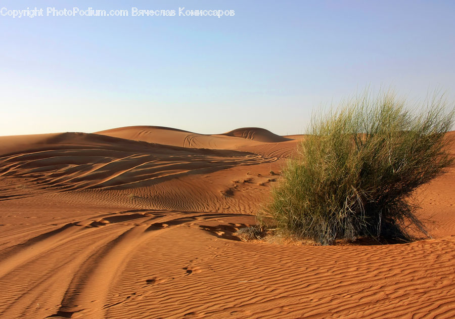 Desert, Outdoors, Dune