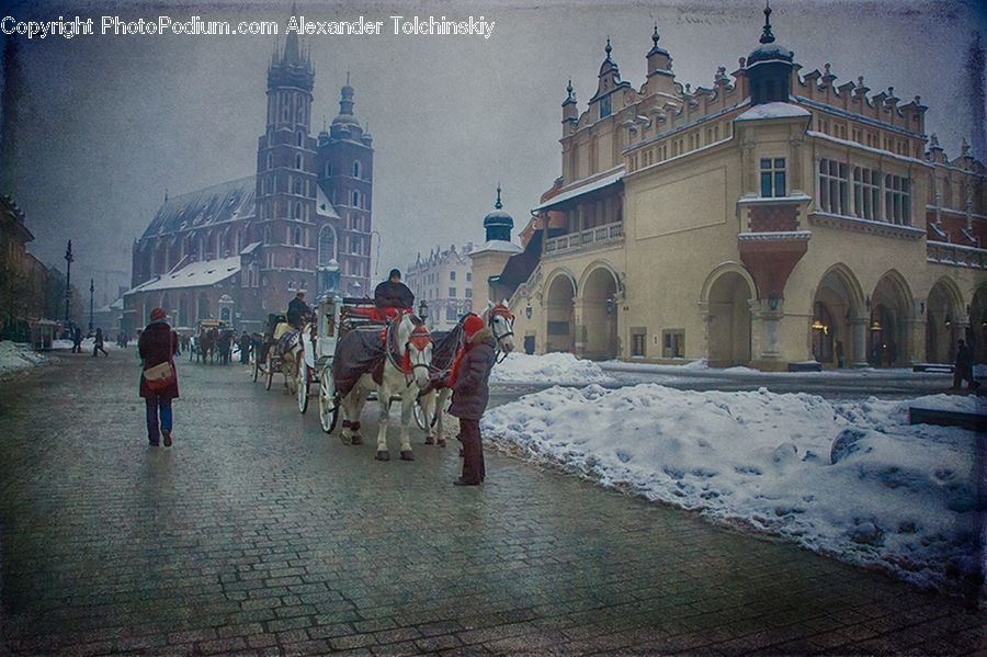 Animal, Horse, Mammal, Arch, Architecture, Downtown, Plaza