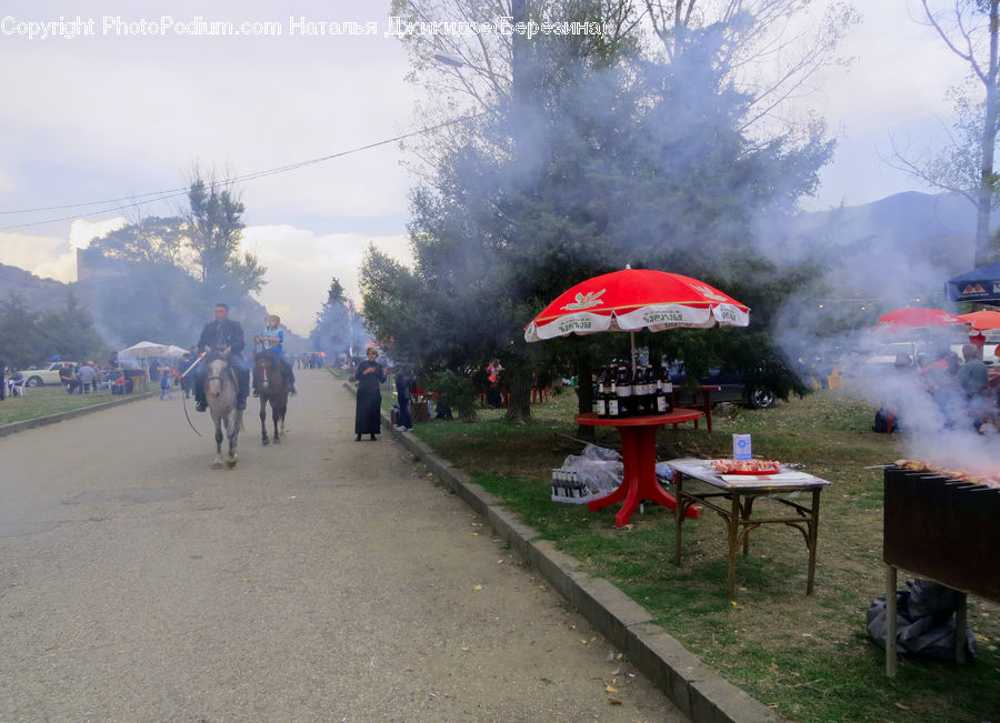 Smoke, Bbq, Food, Bench, Chair, Furniture, Dirt Road