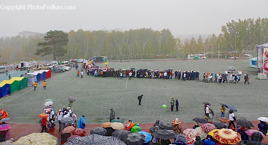 Crowd, People, Person