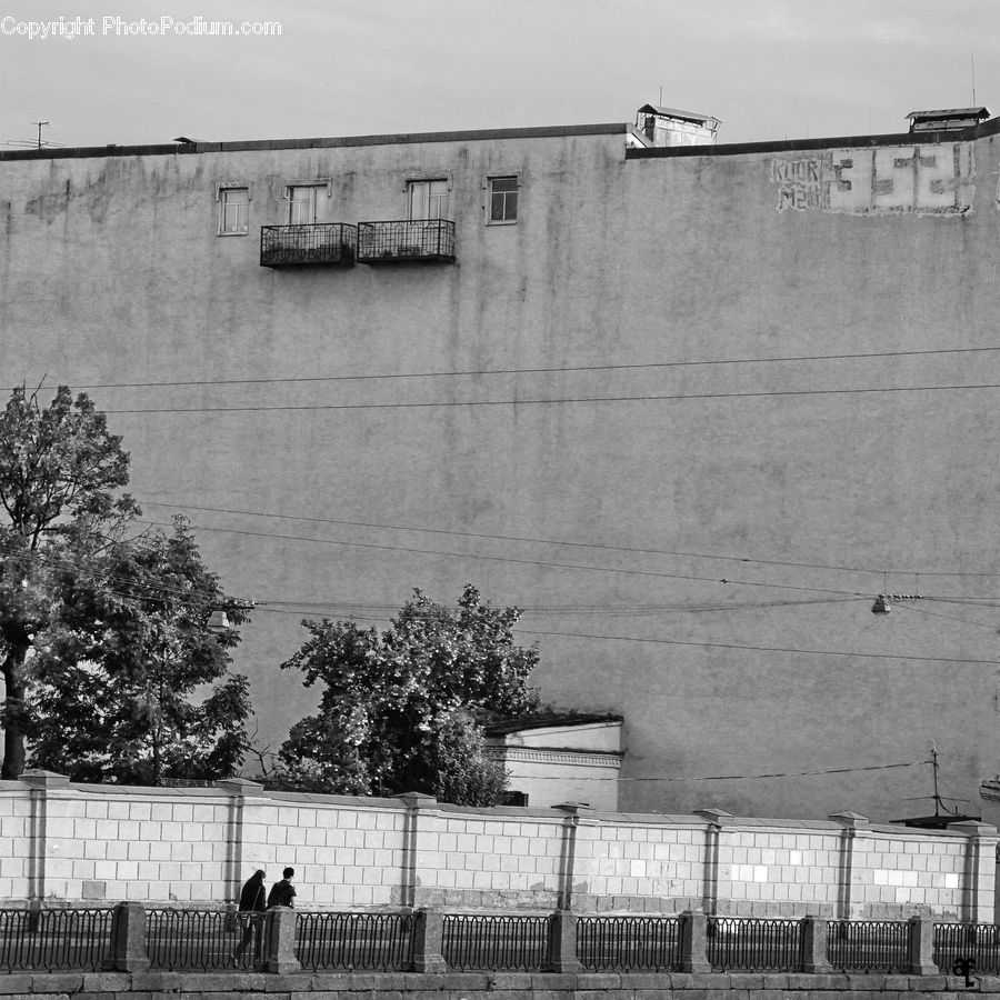 Fence, Plant, Tree, Wall, Bush, Vegetation, Oak