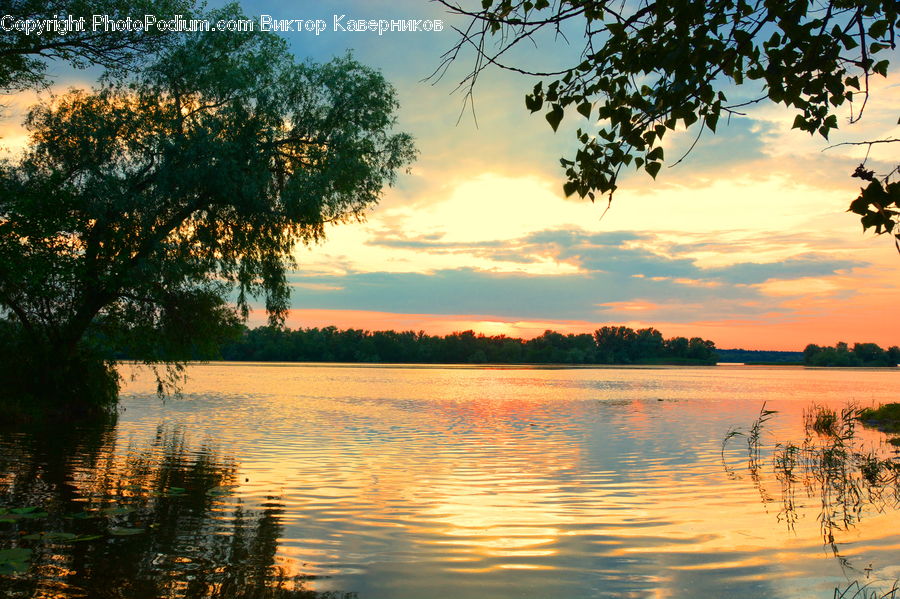 Lake, Outdoors, Water, Sand, Soil, Plant, Tree