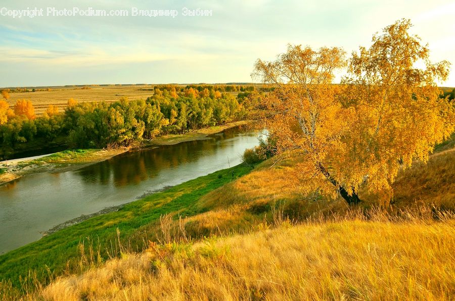 Field, Grass, Grassland, Land, Outdoors, Ditch, Plant