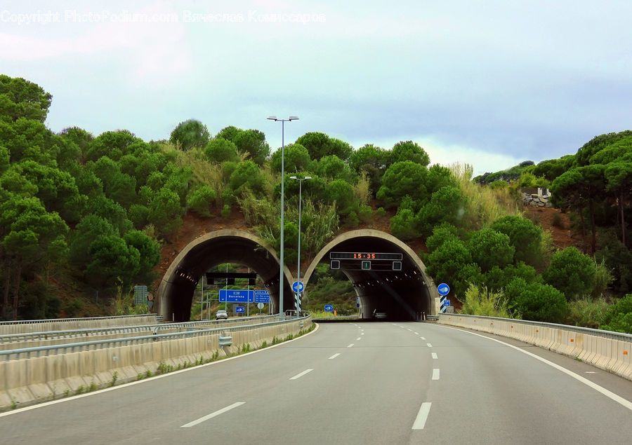 Tunnel, Freeway, Road, Countryside, Outdoors, Bush, Plant