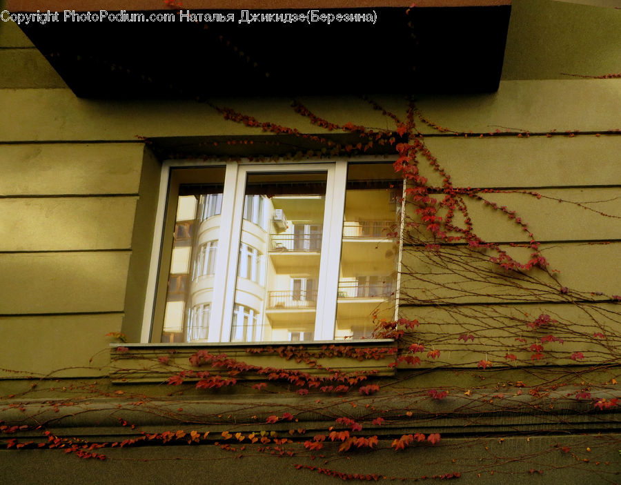 Window, Balcony, Building, Housing, Villa, Cottage, Apartment Building