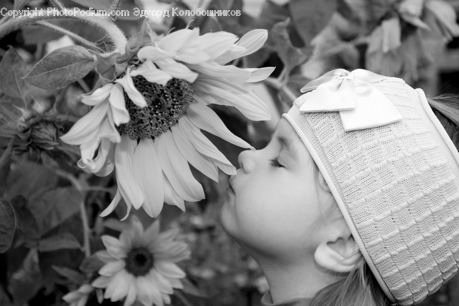 People, Person, Human, Blossom, Daffodil, Flora, Flower