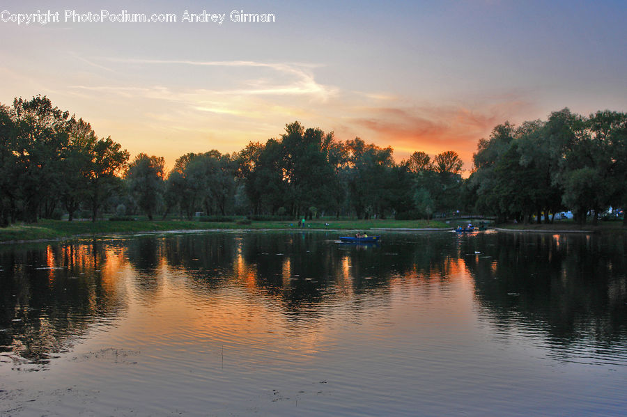 Lake, Outdoors, Water, Plant, Tree, Pond, Canal