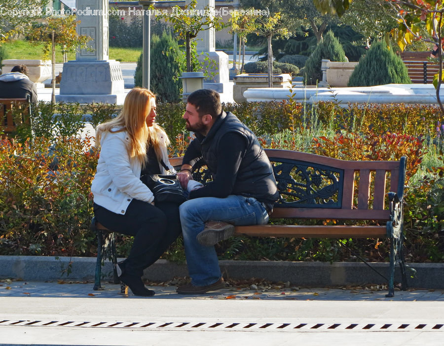 Human, People, Person, Bench, Tomb, Park Bench, Blonde