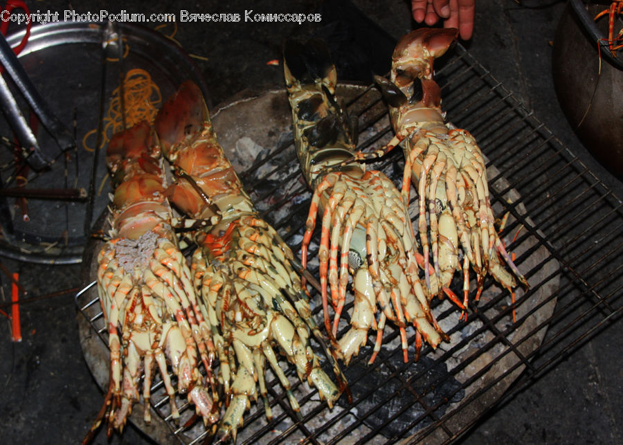 Bbq, Food, Lobster, Sea Life, Seafood, Crab, Invertebrate