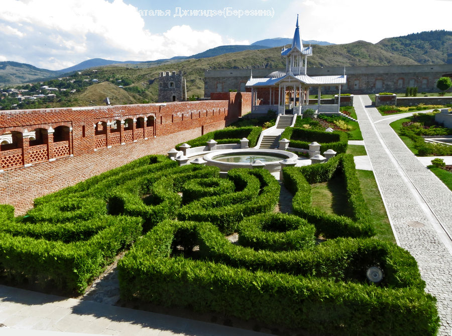Brick, Fence, Hedge, Plant, Building, Downtown, Town