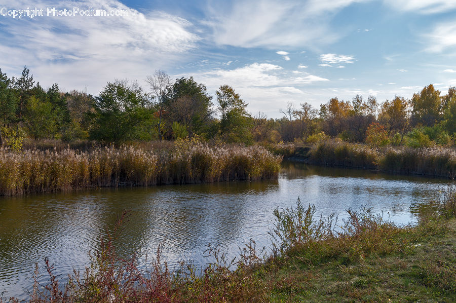 Lake, Outdoors, Water, Pond, Field, Grass, Grassland