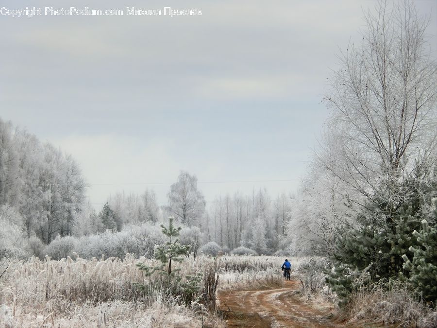 Frost, Ice, Outdoors, Snow, Dirt Road, Gravel, Road