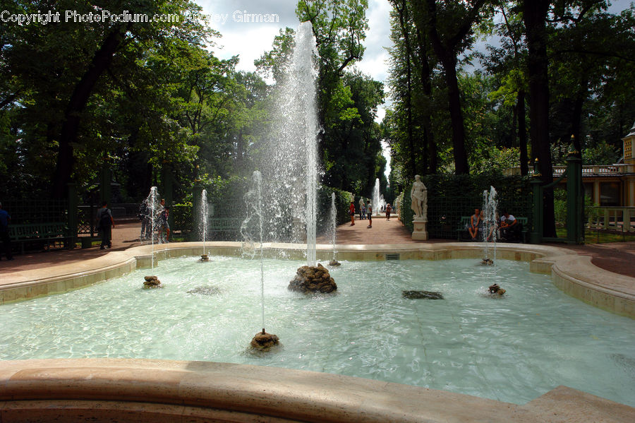 Fountain, Water, Jacuzzi, Tub, Plant, Tree, Forest