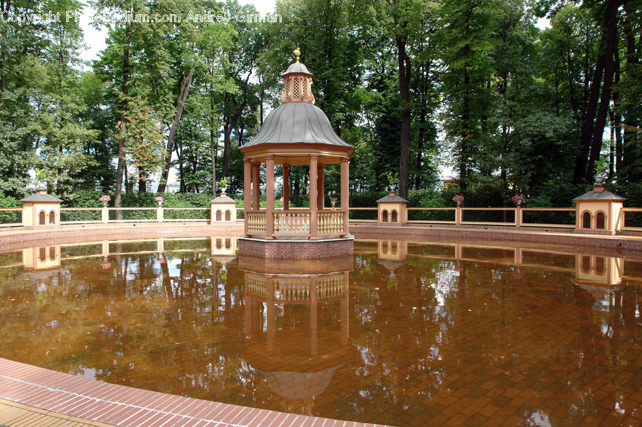 Gazebo, Outdoors, Pond, Water, Fir, Redwood, Tree