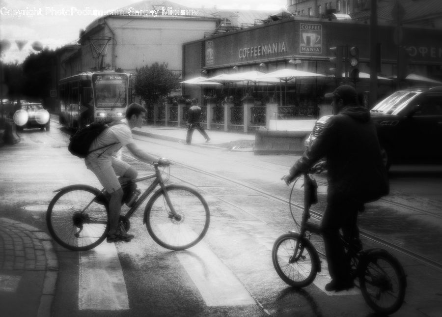 Bicycle, Bike, Cyclist, Vehicle, City, Downtown, Urban