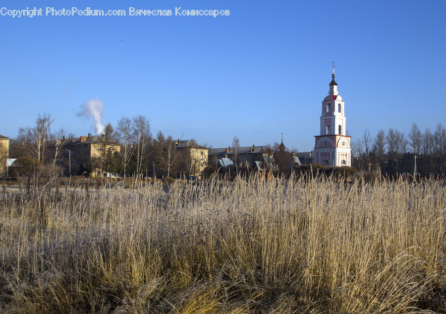 Architecture, Church, Worship, Field, Grass, Grassland, Plant