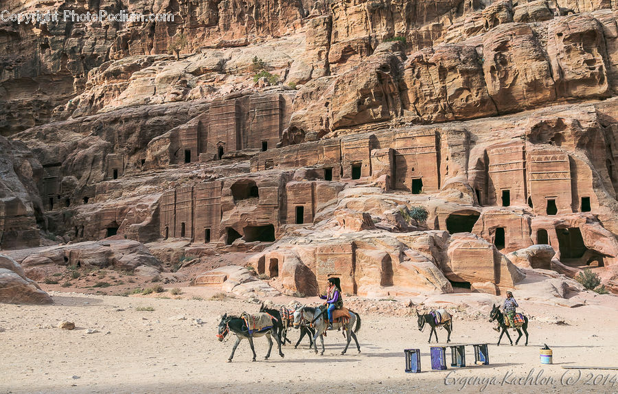 Ancient Egypt, Animal, Donkey, Camel, Mammal, Outdoors, Sand