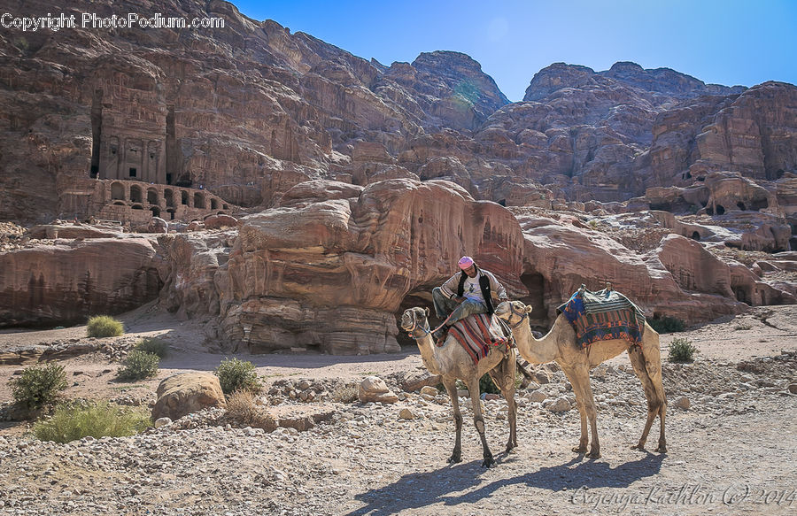 Desert, Outdoors, Animal, Camel, Mammal, Rock, Canyon