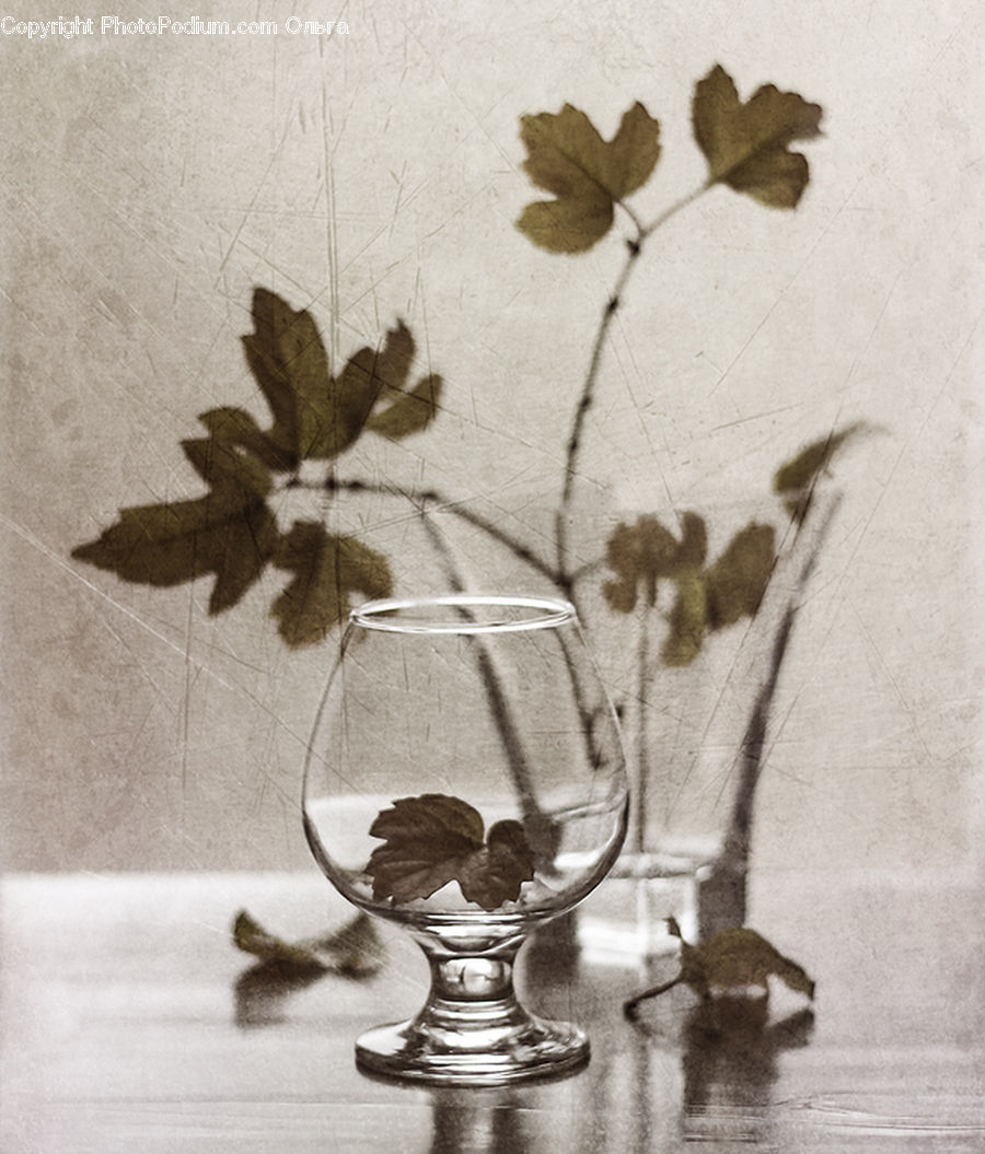 Flower Arrangement, Ikebana, Plant, Potted Plant, Vase, Paper, Glass