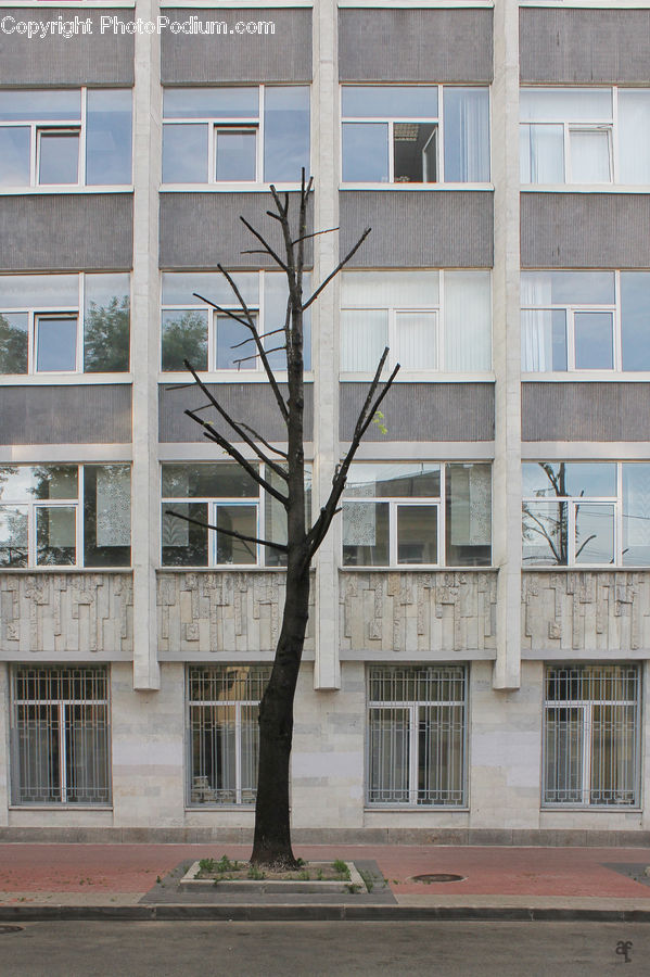 Apartment Building, Building, High Rise, Housing, Window, Siding, Lamp Post