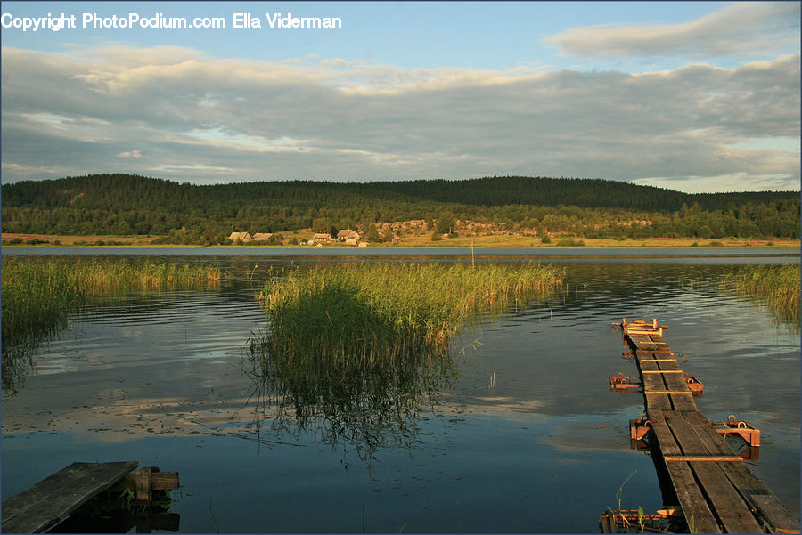 Dock, Landing, Pier, Lake, Outdoors, Water, Pond