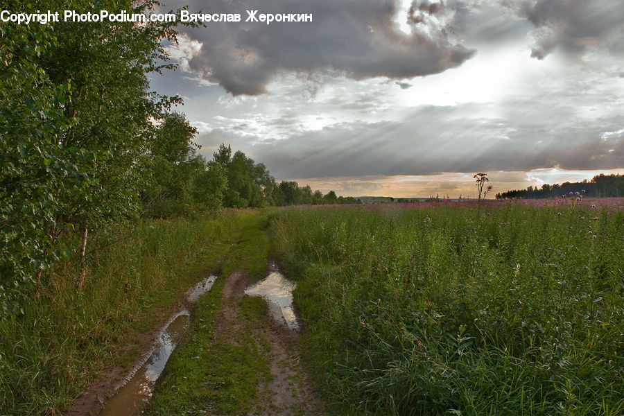 Dirt Road, Gravel, Road, Boardwalk, Deck, Path, Sidewalk