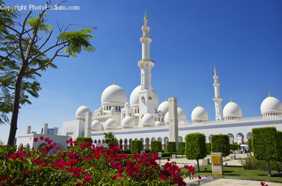 Architecture, Dome, Mosque, Worship, Fence, Hedge, Plant