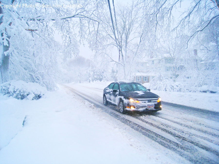 Blizzard, Outdoors, Snow, Weather, Winter, Automobile, Car