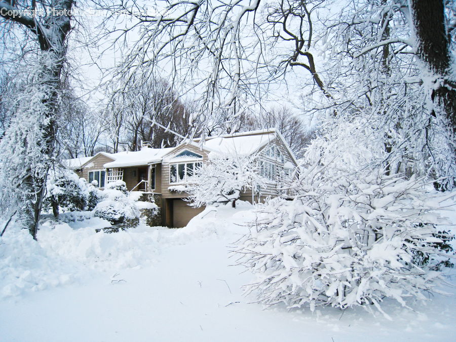Ice, Outdoors, Snow, Building, Cottage, Housing, Landscape