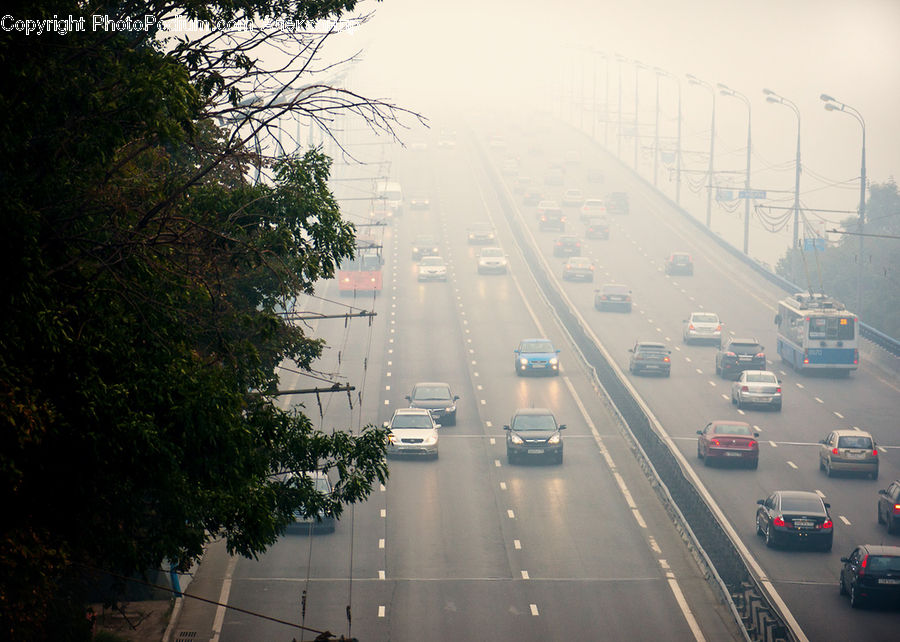 Freeway, Road, Plant, Potted Plant, Fog, Pollution, Smog