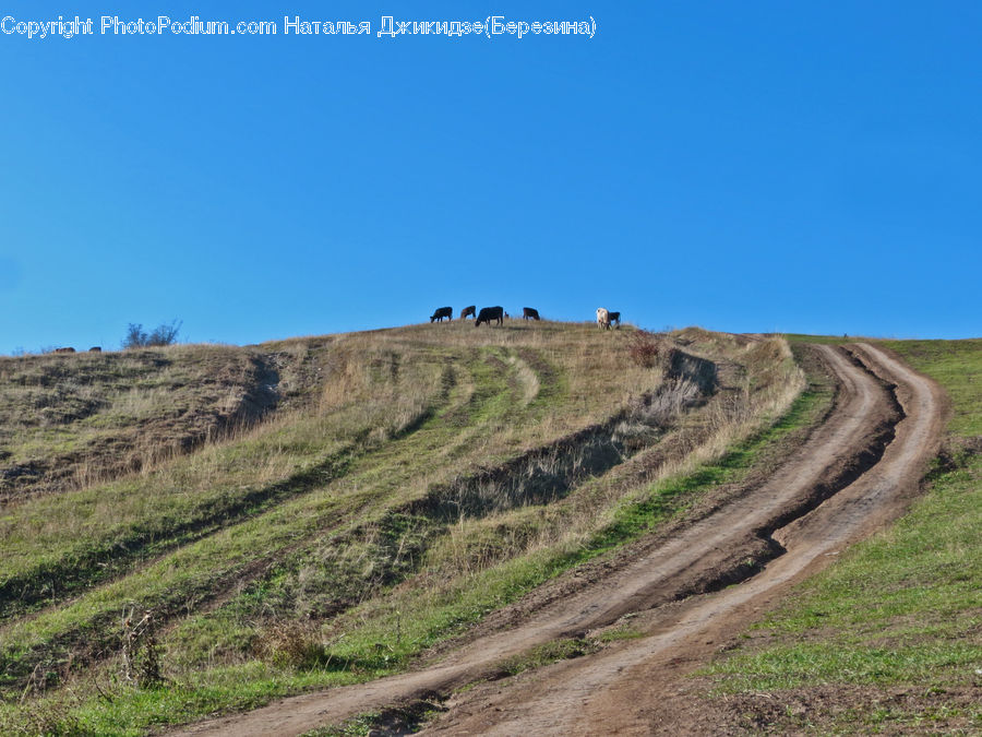 Dirt Road, Gravel, Road, Soil, Landscape, Nature, Scenery