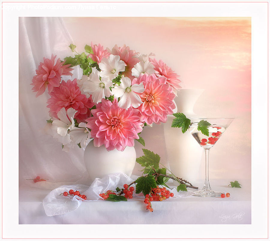 Blossom, Flower, Peony, Plant, Flower Arrangement, Ikebana, Potted Plant