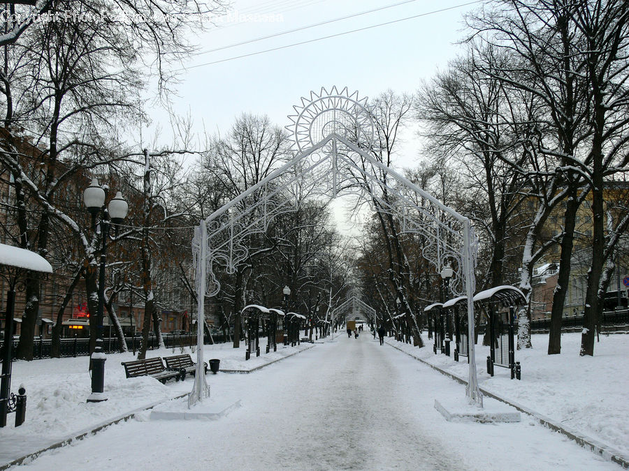 Path, Road, Walkway, Ice, Outdoors, Snow, Landscape