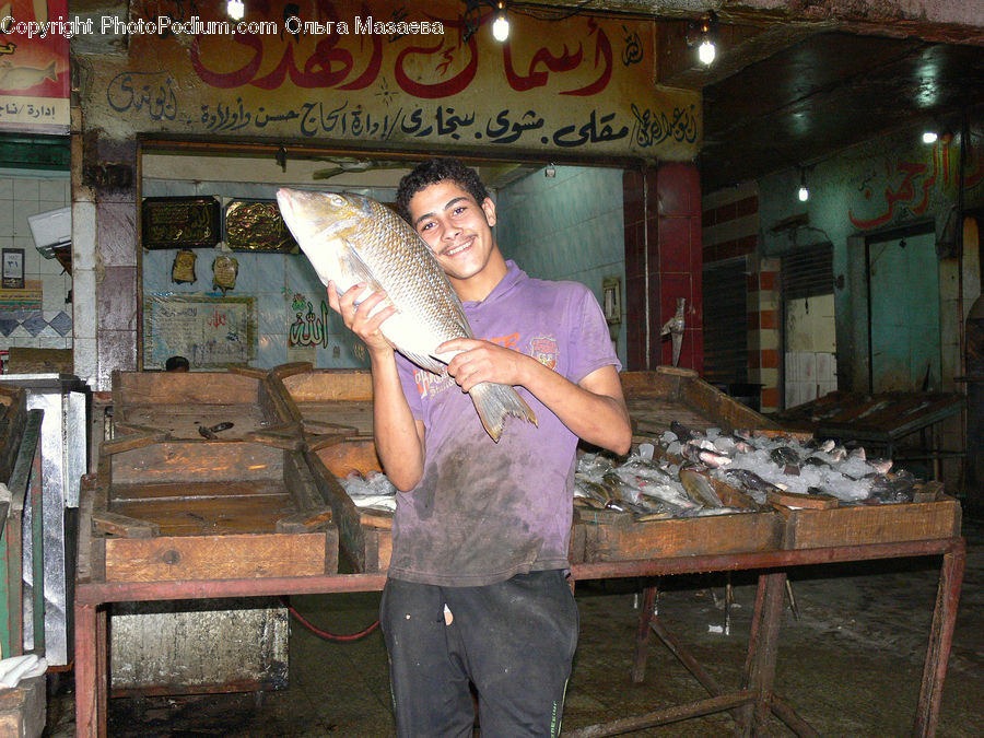 People, Person, Human, Bonito, Coho, Fish, Sea Life