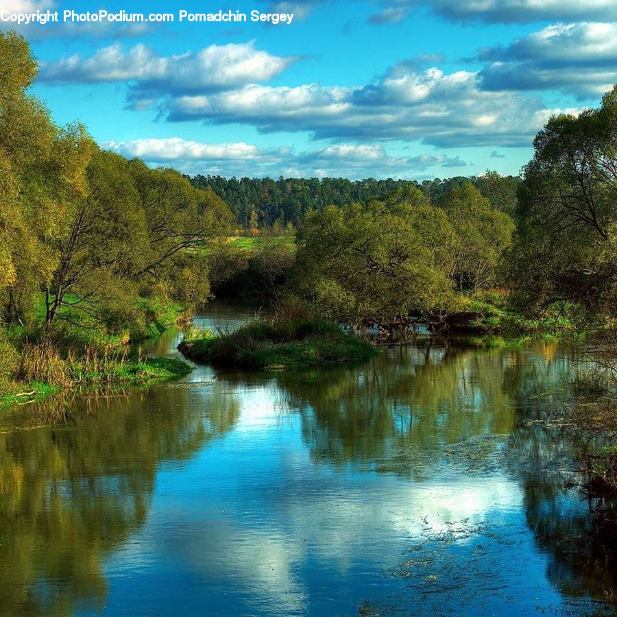 Outdoors, River, Water, Nature, Forest, Vegetation, Landscape