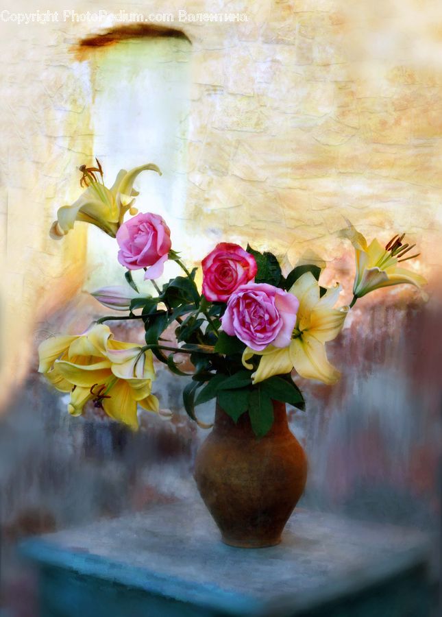 Blossom, Flower, Plant, Rose, Jar, Porcelain, Vase