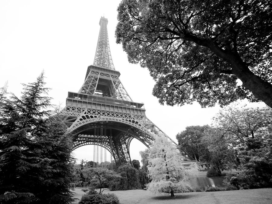 Architecture, Tower, Arch, Bridge, Plant, Tree, Park