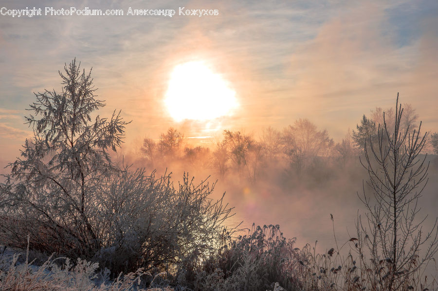 Frost, Ice, Outdoors, Snow, Dawn, Dusk, Sky