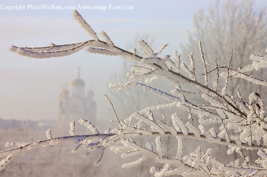 Frost, Ice, Outdoors, Snow