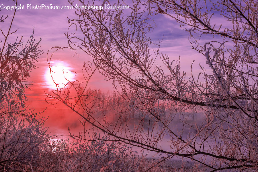 Flare, Light, Sunlight, Dawn, Dusk, Red Sky, Sky