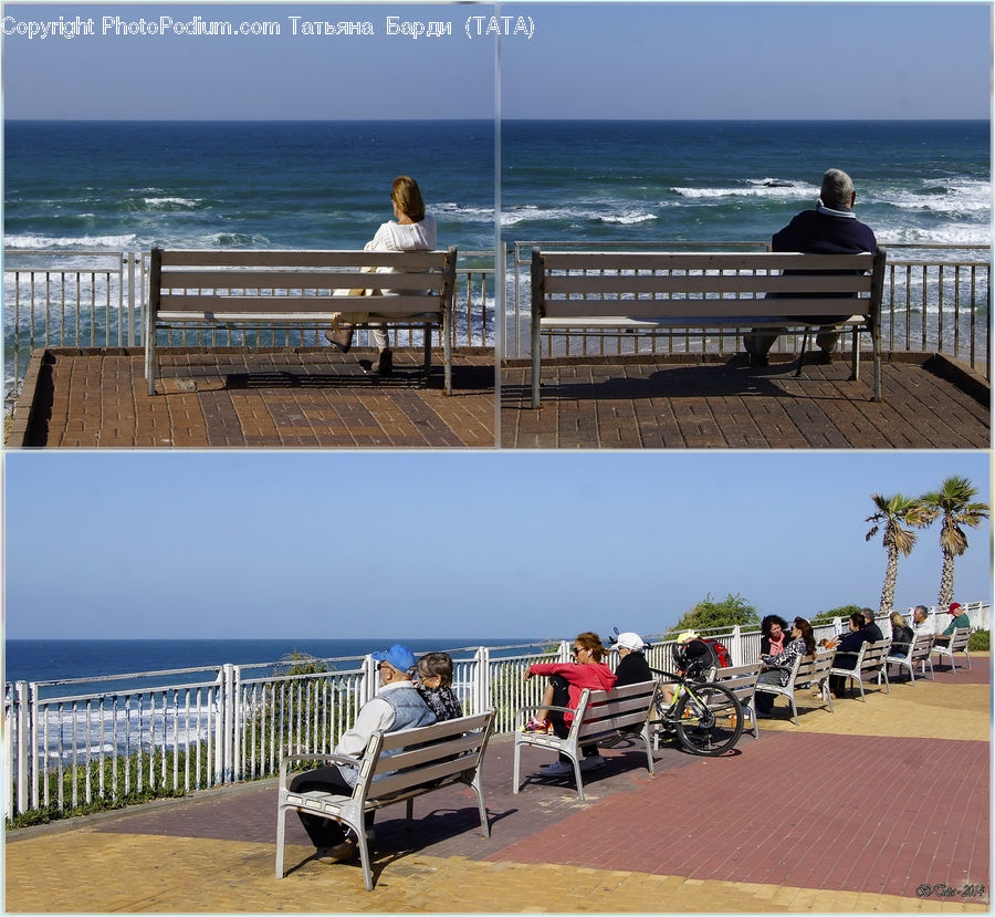 Bench, Chair, Furniture, Dock, Landing, Pier, Beach