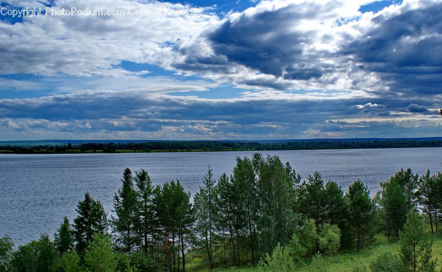 Cloud, Cumulus, Sky, Lake, Outdoors, Water, Conifer