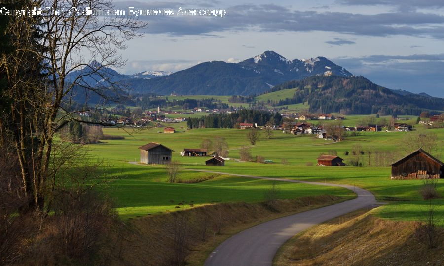 Golf Course, Grassland, Dirt Road, Gravel, Road, Field, Grass