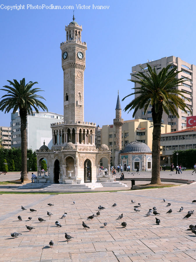 Architecture, Bell Tower, Clock Tower, Tower, Dome, Mosque, Worship