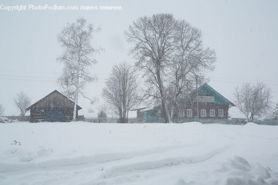 Blizzard, Outdoors, Snow, Weather, Winter, Ice