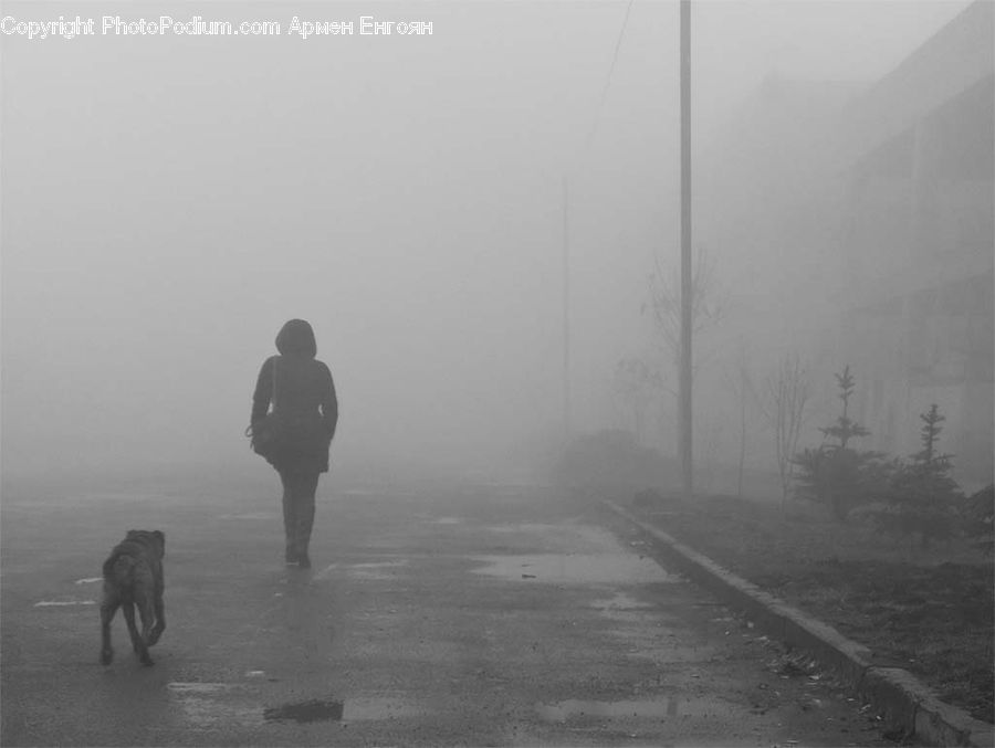 People, Person, Human, Fog, Pollution, Smog, Smoke