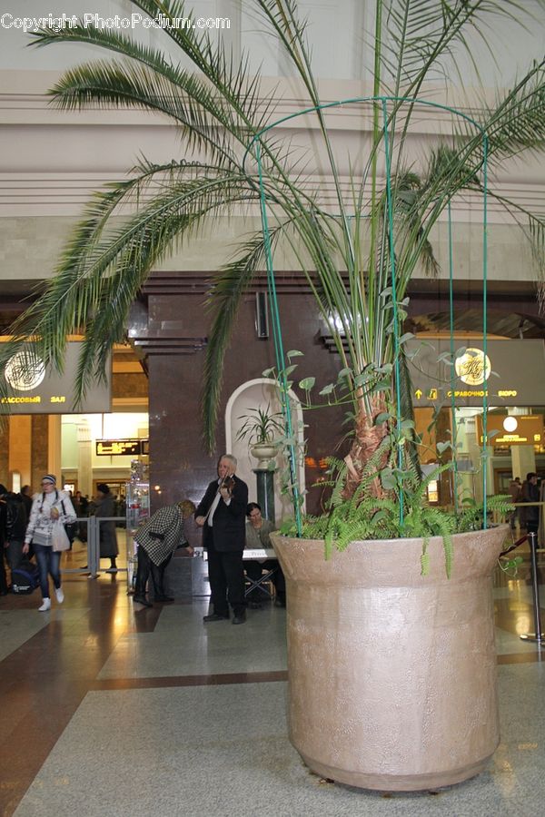 People, Person, Human, Plant, Potted Plant, Airport Terminal, Terminal