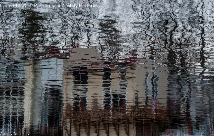 Birch, Tree, Wood, Outdoors, Ripple, Water