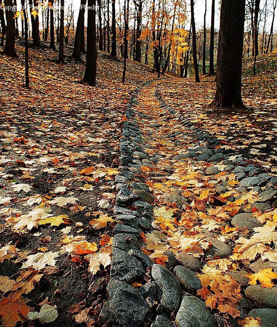 Ground, Soil, Frost, Ice, Outdoors, Snow, Asphalt