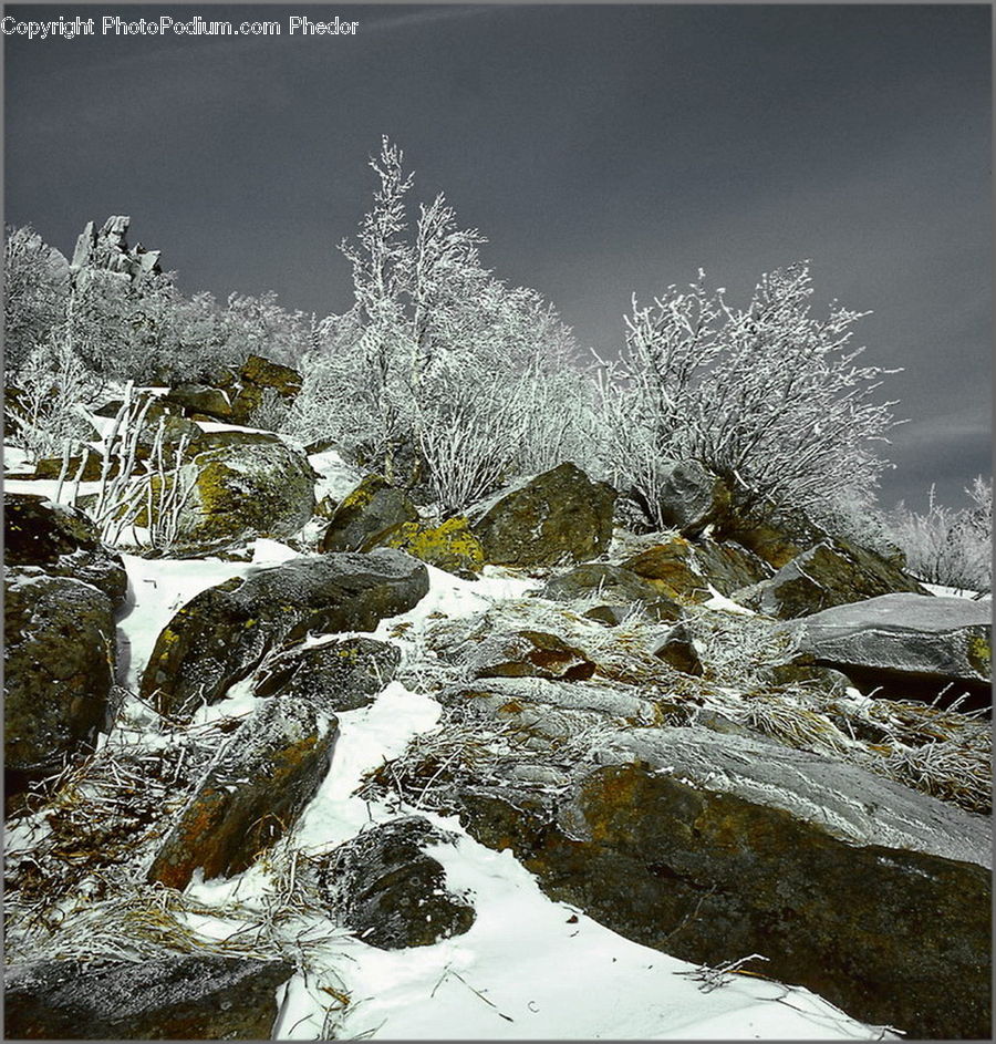 Frost, Ice, Outdoors, Snow, Creek, River, Water